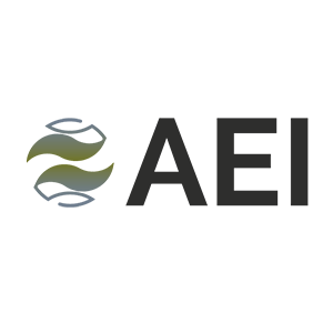 AEI